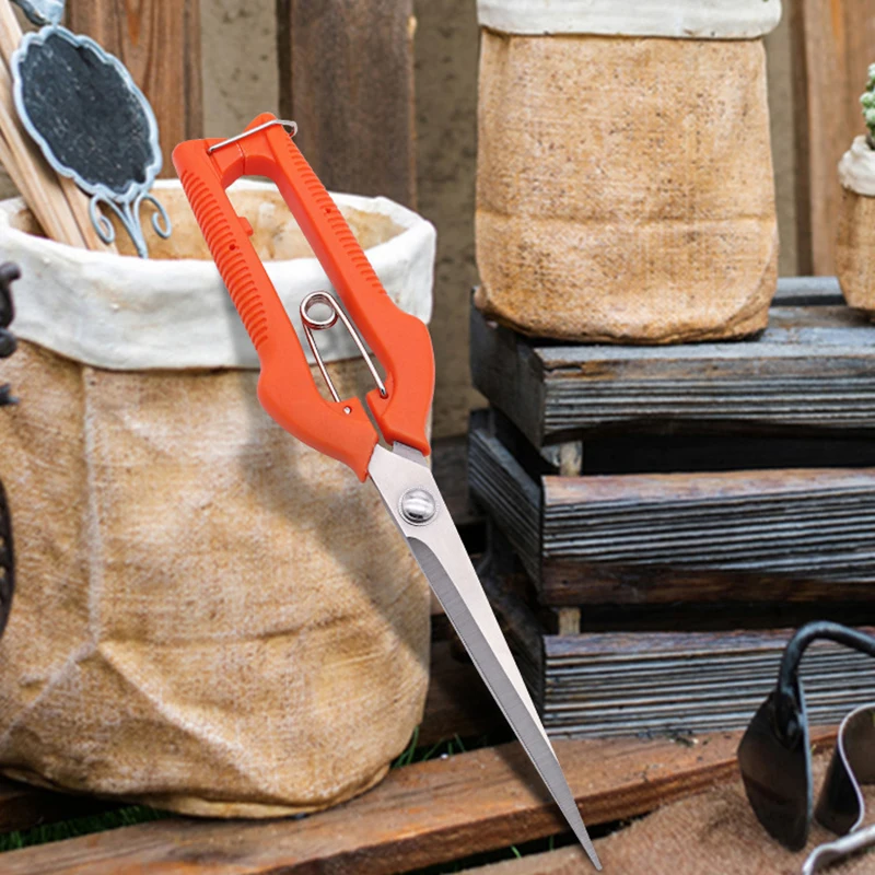 Grape Scissors Pruning Shears  - Furniture Joining Hardware recension och pris